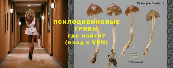 каннабис Володарск
