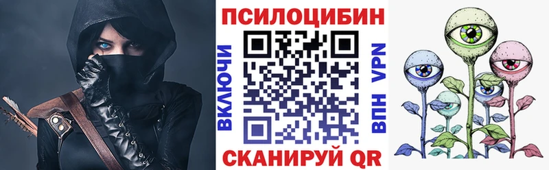 Псилоцибиновые грибы Psilocybe Джанкой